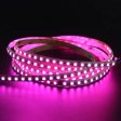 (image for) 8mm RGB LED Strip Lights, 16.4FT/5Meter SMD4040 600LEDs/Roll, DC24V 