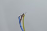 100 Watt Slim LED Road Street Pole Light Outdoor Yard Industrial Lamp light IP67