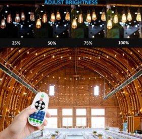 1500Watt AC110V/220V LED Dimmer for 110V/220V LED String Light, Wireless Remote Control Dimmer with 3 Prong Outlet, Timer Switch
