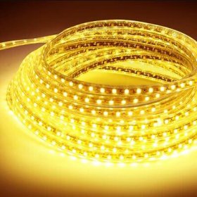 AC 110V 220V SMD5050 High Voltage Flat Strip Light 60 LEDs Per Meter 12mm Width with Wall Outlet Power Plug