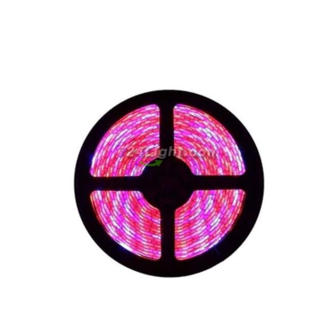 Plant Growth RED:BLUE /660nm:460nm LED Grow Light SMD5050 120LEDs 12V 28.8W Per Meter 15mm Width Strip