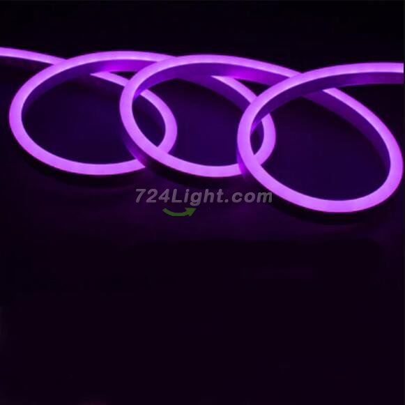 65.6FT (20Meters) LED Neon Rope Lights 8x16(mm) Neon LED Strip Lights 8Watt 120LEDs/M Flexibl 110V/220V AC Rope Lights Waterproof, Custom Cuttable Neon Lighting for In&Outdoor