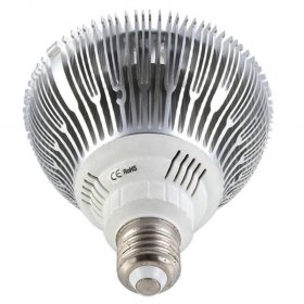 12W (12x1W) PAR38 LED Lamp with E27 Edison Screw Base 90W Equivalent 100-240V AC Silver Housing Indoor Type
