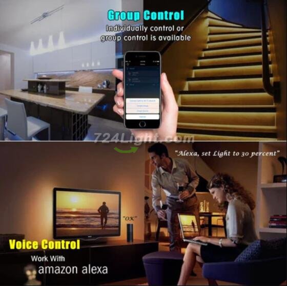 CROW WiFi RF Controller for Addressable Digital LED Lights via Tuya App, Compatible w/ Amazon Echo