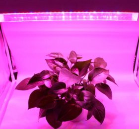40W 16'' Full Spectrum Linear LED Grow Light Strip 6 Bands with IR & UV included, Adjustable Hanger, Idea for Greenhouse, Vegetables & Fruits, Horticulture, Propagation and City Farming