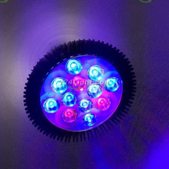 12W LED Grow Light Lamp E27 Base 2 Band Wavelenth Mix 12 LED Growing Bulbs For Stocky Plants At Seedlings Stage of Growth, Germinating Vegetable Seeds, Mini Potted Succulent/Faux Plant