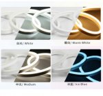 65.6FT (20Meters) LED Neon Rope Lights 8x16(mm) Neon LED Strip Lights 8Watt 120LEDs/M Flexibl 110V/220V AC Rope Lights Waterproof, Custom Cuttable Neon Lighting for In&Outdoor
