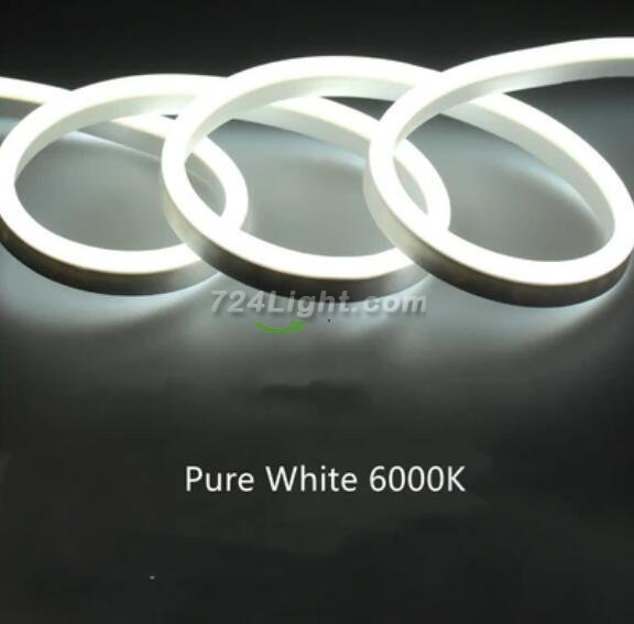65.6FT (20Meters) LED Neon Rope Lights 8x16(mm) Neon LED Strip Lights 8Watt 120LEDs/M Flexibl 110V/220V AC Rope Lights Waterproof, Custom Cuttable Neon Lighting for In&Outdoor
