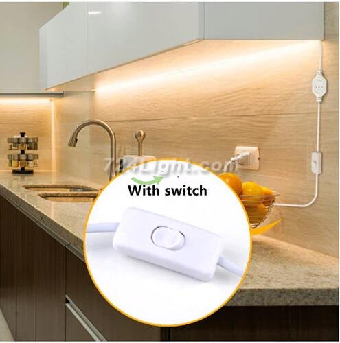 32.8Feet 110V AC / 220V AC Spotless FCOB LED Flexible Strip Light, IP65 Waterproof High Brightness with Inline Switch