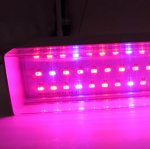80W 40'' Full Spectrum Linear LED Grow Light Strip 6 Bands with IR & UV included, Adjustable Hanger, Idea for Greenhouse, Vegetables & Fruits, Horticulture, Propagation and City Farming