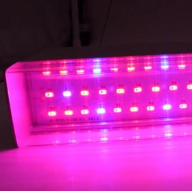 80W 40'' Full Spectrum Linear LED Grow Light Strip 6 Bands with IR & UV included, Adjustable Hanger, Idea for Greenhouse, Vegetables & Fruits, Horticulture, Propagation and City Farming