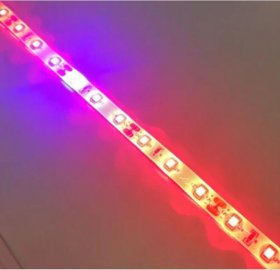 Plant Growth RED:BLUE /660nm:460nm LED Grow Light SMD2835 60LEDs 12V 12W Per Meter Strip
