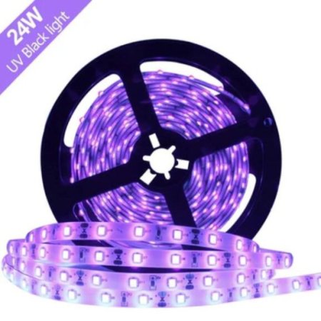(image for) 24W UV Black Light LED Strip 16.4FT/5M UV 3528 300LEDs 395nm-405nm Waterproof LED Strip Light for Night Fishing,Party w/ 12V 2A Power Supply