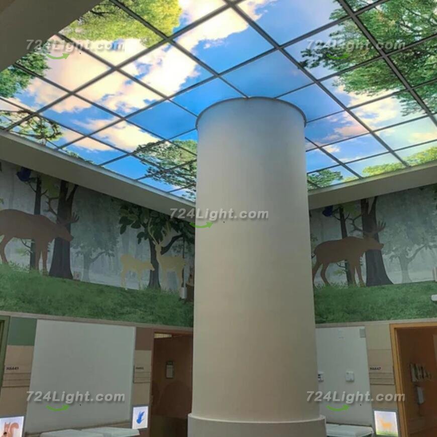 5 PACK LED Skylight 1x4FT - 300*1200mm 36W 3060LM Blue Sky LED Flat Panel Light Framed For Ceiling Decoration