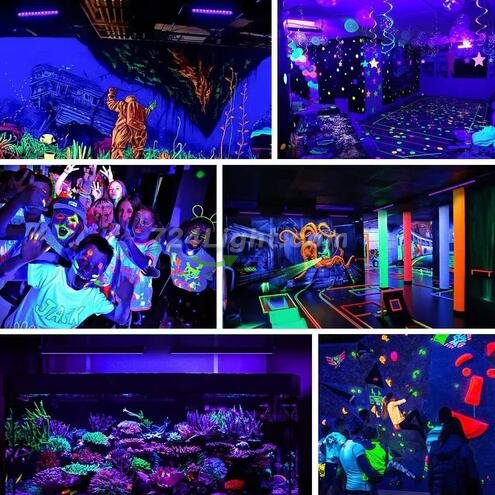2Pack Black Lights - 100W 385-400 nm AC85-265V Upgraded LED Flood Light with Switch, Waterproof IP66 for Glow Party, Stage Lighting, Aquarium, Glow in The Dark, Body Paint, Fluorescent Poster, Neon Glow