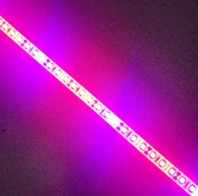 Plant Growth RED:BLUE /660nm:460nm LED Grow Light SMD2835 120LEDs 12V 24W Per Meter Strip