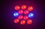 7W 9W 12W 15W E27 LED Bulb Grow Lamp Red & Blue LED Plant Grow Lamp Light Bulbs for Flowering Plant And Hydroponics