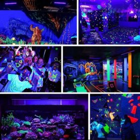2 Pack Black Lights - 60W 385-400nm AC85-265V Upgraded LED Flood Light with Switch, Waterproof IP66 for Glow Party, Stage Lighting, Aquarium, Glow in The Dark, Body Paint, Fluorescent Poster, Neon Glow