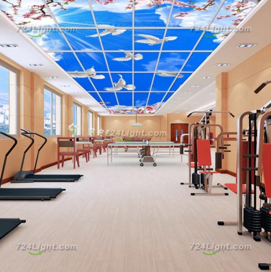 5 PACK LED Skylight 1x4FT - 300*1200mm 36W 3060LM Blue Sky LED Flat Panel Light Framed For Ceiling Decoration