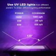 (image for) 2 Pack Black Lights - 30W 385-400 nm AC85-265V Upgraded LED Flood Light with Switch, Waterproof IP66 for Glow Party, Stage Lighting, Aquarium, Glow in The Dark, Body Paint, Fluorescent Poster, Neon Glow