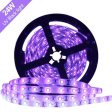 (image for) 24W UV Black Light LED Strip 16.4FT/5M UV 3528 300LEDs 395nm-405nm Waterproof LED Strip Light for Night Fishing,Party w/ 12V 2A Power Supply