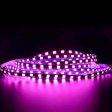 (image for) 4MM Wide SMD2835-600 120LEDs per Meter Purple-ish Pink 12V 16.4FT (5Meters) Roll LED Strip Non-waterproof
