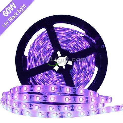 (image for) 60W UV Black Light LED Strip, 16.4FT/5M 2835 300LEDs 395nm 405nm Night Fishing Party