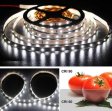 (image for) High CRI 90 Strip Light LED, Flexible 12V LED Strips, SMD3528-300 60 LEDs 300LM Per Meter, 8mm Wide Tape