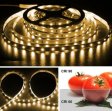 (image for) High CRI 90 Strip Light LED, Flexible 12V LED Strips, SMD3528-300 60 LEDs 300LM Per Meter, 8mm Wide Tape