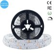 (image for) 365nm 370nm SMD3528-300 12V 2A 24W UV LED Strip Light Tape for Curing, Currency Validation