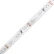 (image for) 12V Dimmable SMD3528-300 Flexible LED Strips 60 LEDs Per Meter 8mm Width 300lm Per Meter
