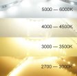 (image for) 12V Dimmable SMD3528-300 Flexible LED Strips 60 LEDs Per Meter 8mm Width 300lm Per Meter