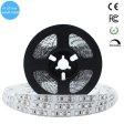 (image for) 365nm 370nm SMD3528-600 12V 4A 48W UV LED Strip Light Ideal for Curing Currency Validation