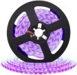 (image for) 365nm 370nm SMD3528-600 12V 4A 48W UV LED Strip Light Ideal for Curing Currency Validation
