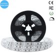(image for) 380nm 385nm SMD3528-600 12V 4A 48W UV LED Strip Light for UV Curing, Currency Validation