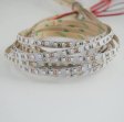 (image for) 380nm 385nm SMD3528-600 12V 4A 48W UV LED Strip Light for UV Curing, Currency Validation