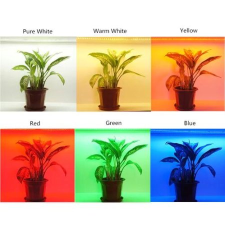 (image for) DC 12V Red/Blue/Green/Yellow Dimmable SMD3528-600 Flexible LED Strips 120 LEDs Per Meter 8mm Width 600lm Per Meter