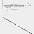 (image for) 380nm 385nm SMD5050-150 12V 3A 36W UV LED Strip Light for UV Curing Currency Validation