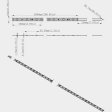 (image for) 395nm 405nm Black Light SMD5050-150 12V 3A 36W UV (Ultraviolet) LED Strip Light