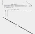 (image for) 365nm 370nm SMD5050-150 12V 3A 36W UV LED Strip Light Ideal for Curing, Currency Validation