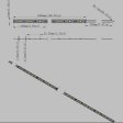 (image for) 12V Dimmable SMD5050-150 Flexible LED Strips 30 LEDs Per Meter 10mm Width 450lm Per Meter