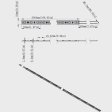 (image for) 395nm 405nm Black Light SMD5050-300 12V 6A 72W UV (Ultraviolet) LED Strip Light Flex