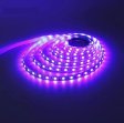 (image for) 395nm 405nm Black Light SMD5050-300 12V 6A 72W UV (Ultraviolet) LED Strip Light Flex