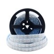 (image for) 365nm 370nm SMD5050-600 12V 12A 144W UV LED Strip Light for Curing, Currency Validation