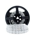 (image for) 365nm 370nm SMD5050-600 12V 12A 144W UV LED Strip Light for Curing, Currency Validation