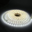 (image for) AC 110V 220V SMD5050 High Voltage Flat Strip Light 60 LEDs Per Meter 12mm Width with Wall Outlet Power Plug