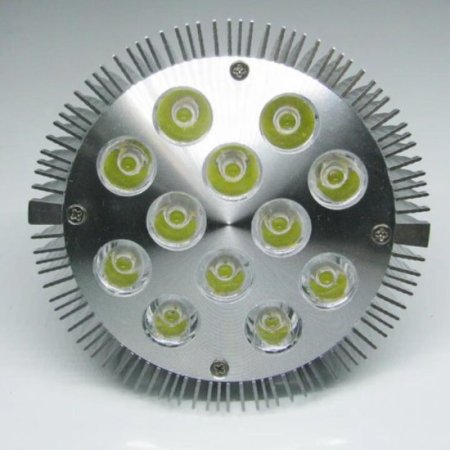 (image for) 12W (12x1W) PAR38 LED Lamp with E27 Edison Screw Base 90W Equivalent 100-240V AC Silver Housing Indoor Type