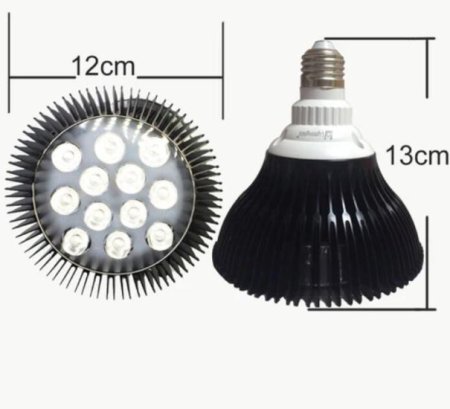 (image for) 12W (12x1W) PAR38 LED Lamp with E27 Edison Screw Base 90W Equivalent 100-240V AC Silver Housing Indoor Type