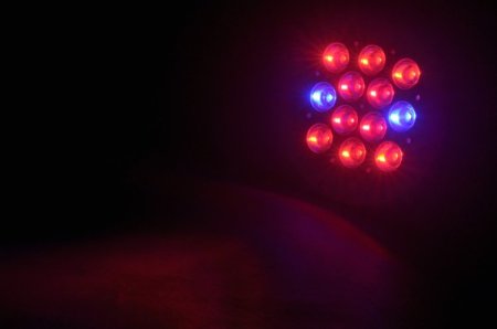 (image for) 7W 9W 12W 15W E27 LED Bulb Grow Lamp Red & Blue LED Plant Grow Lamp Light Bulbs for Flowering Plant And Hydroponics