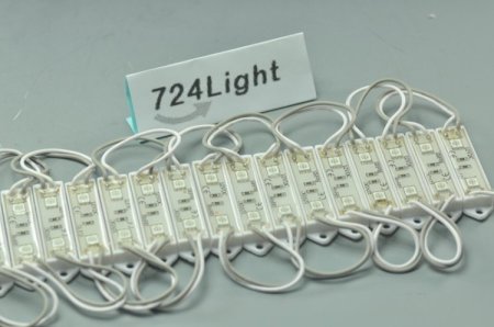 (image for) 5050 SMD LED Modules 5050 2 LED Modules 45x12MM 12V 0.5W Waterproof IP65 Modules